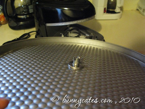 IMG_8292 IMG_8292